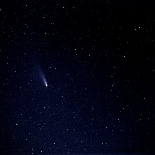 2375164409 1ed1c7be5e z 500x500 アイソン彗星の生存が確認される！しかし近日点通過時に消滅する可能性は捨てきれず。
