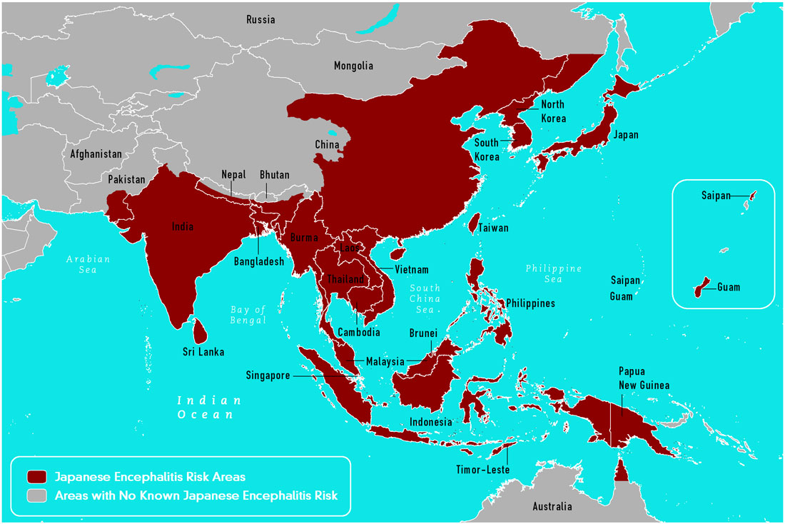 Japanese Encephalitis 1100px 734px CNV 蚊が運んでくる感染症や病気。海外旅行では特に注意！