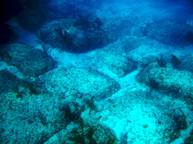 bimini road ariyo web1 ビミニ・ロード！フロリダ沖に眠るのは謎の海底神殿か？