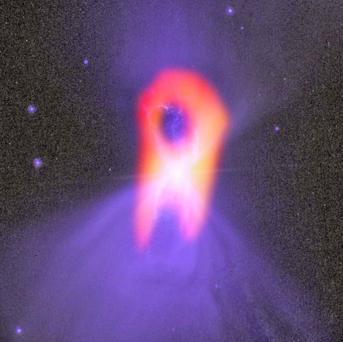 image 500x498 宇宙で最も冷たい場所、ブーメラン星雲！