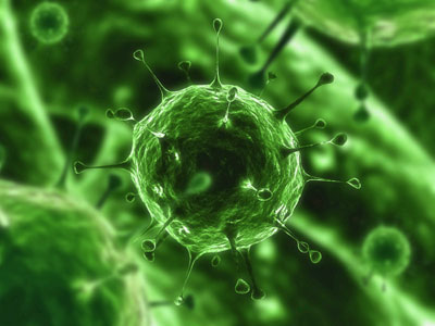 light virus 1 感染症が増えた理由。原因は人間だった。