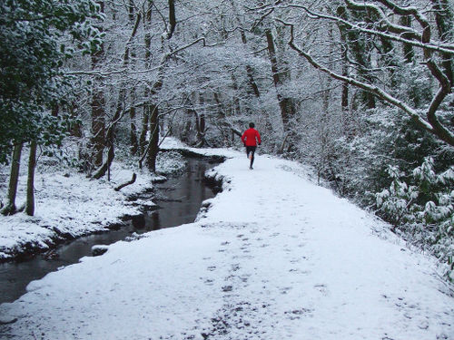 Runner in snowy forest 冬のジョギングは危険！意外な落とし穴。