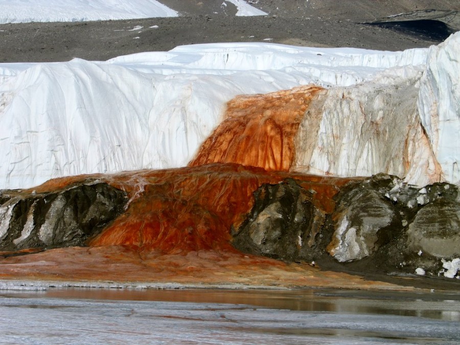 Blood Falls 03 900x675 血の滝！南極で見られる詳細の現象！