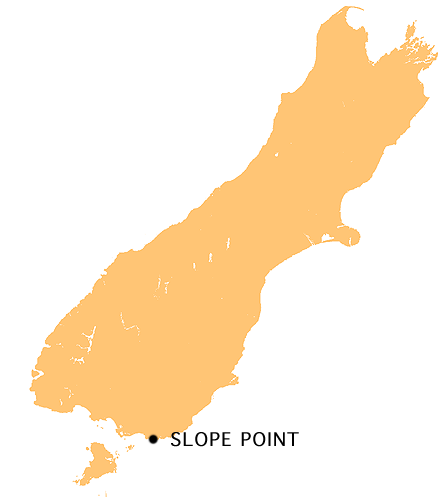 NZ Slope P スロープポイント、曲がった木々が織り成す光景！