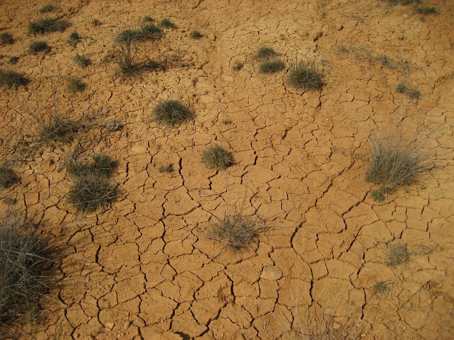 chronic drought extreme weather patterns the new normal researchers say 900x675 異常気象の常態化、変化する地球環境。