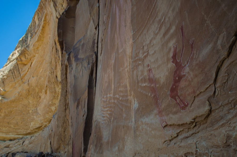 8081813814 41c2564a2f h 900x596 翼竜の壁画、アメリカに残る謎の痕跡。
