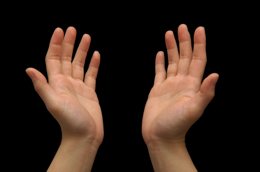 hands raised1 900x597 利き手はどのように決まるのか、遺伝だけでは説明出来ず。