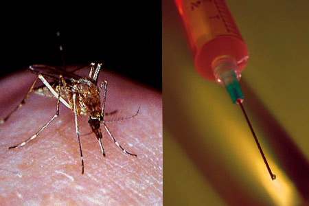 mosquito needle 痛くない注射、普及する時代が近づく！