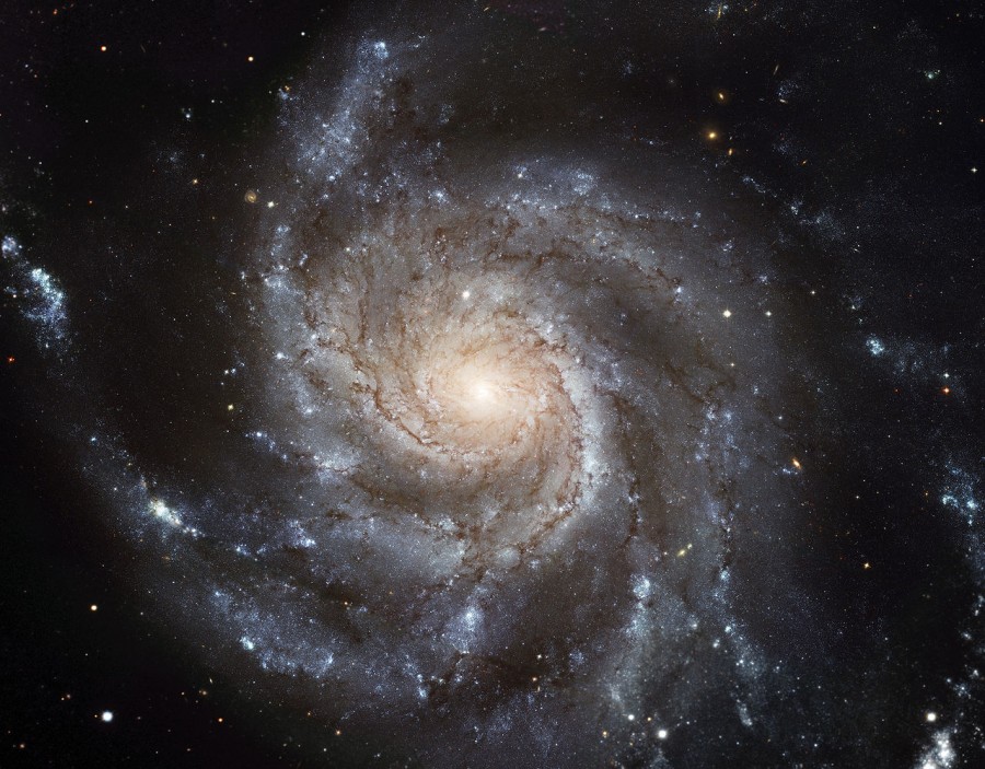 1280px M101 hires STScI PRC2006 10a 900x703 グレートウォール、銀河が密集した宇宙の壁！
