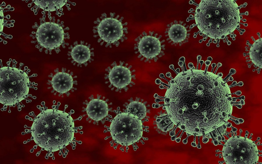 bird flu 0002 900x562 鳥インフルエンザが各地で広がる！求められる早急な対策。