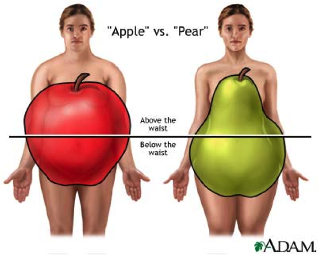 pear apple jpg 肥満遺伝子の真実。肥満は生活習慣病ではない可能性。