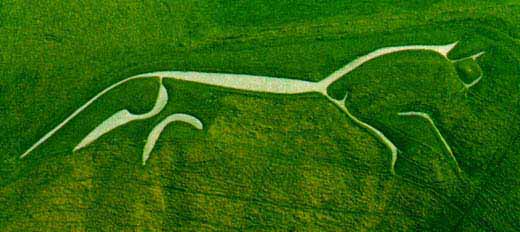 horse アフィントンの白馬。3000年前の地上絵。