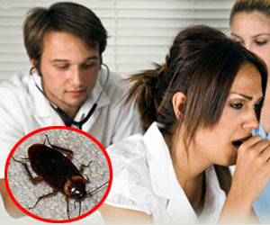 Cockroach Allergens asthma ゴキブリ喘息(アレルギー)が流行する可能性！アメリカでは既に流行。