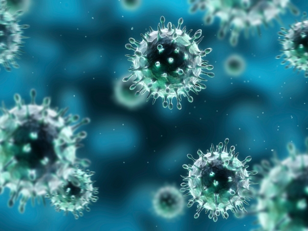 Diferencias entre virus y baceterias 2 ウイルスとは何か。生物なのか非生物なのか。