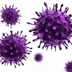 ウイルスとは何か。生物なのか非生物なのか。