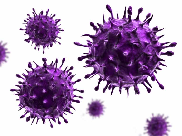 antibody therapy treat hendra virus humans 2010 ウイルスとは何か。生物なのか非生物なのか。